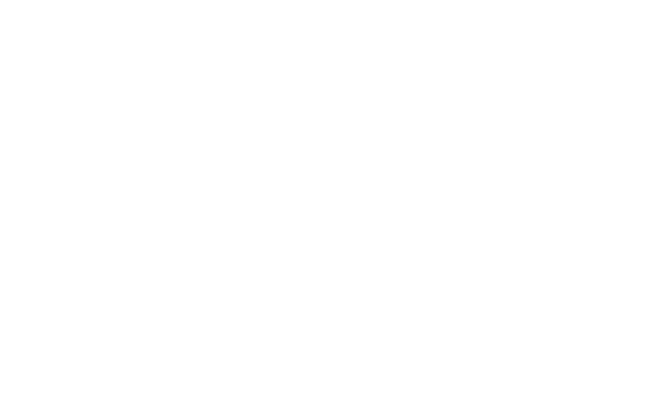 Octagon Events